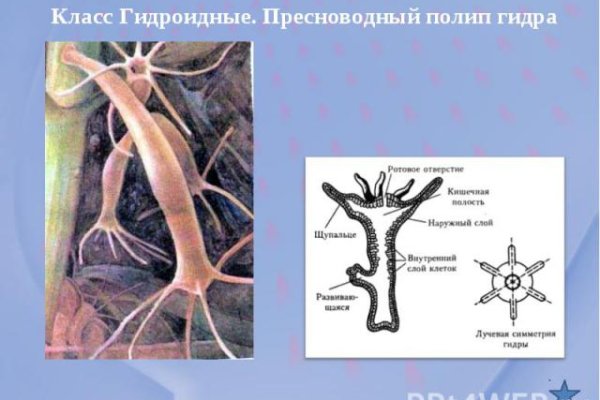 Кракен это даркнет маркетплейс