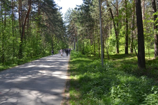 Кракен даркнет магазин